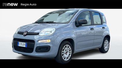 Fiat Panda 1.2 Pop del 2020 usata a Viterbo