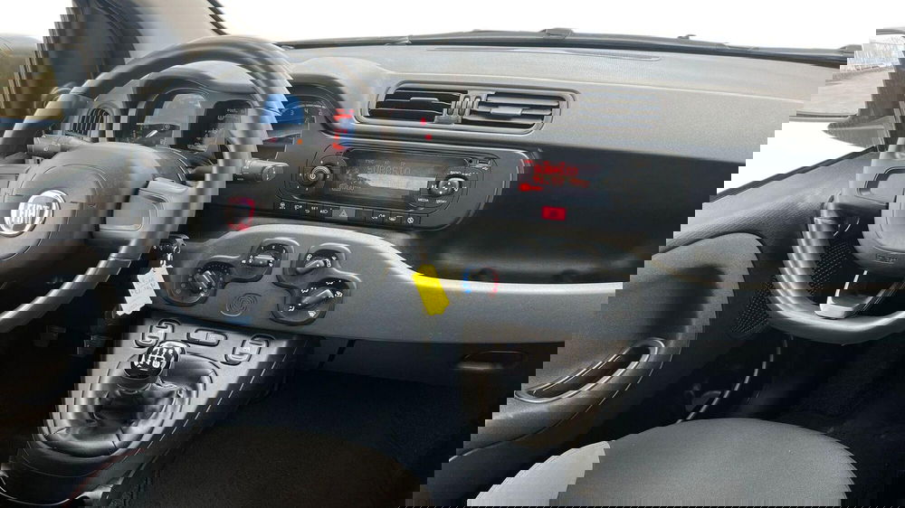 Fiat Panda usata a Viterbo (10)