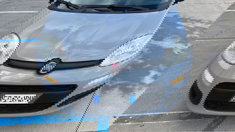 Fiat Panda usata a Viterbo (16)