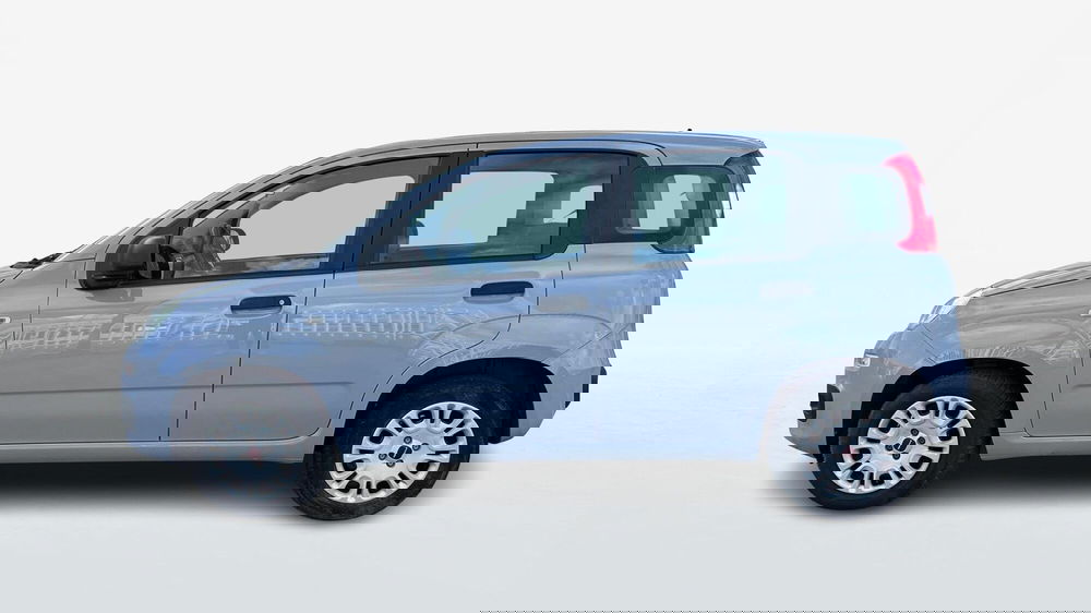 Fiat Panda usata a Viterbo (3)