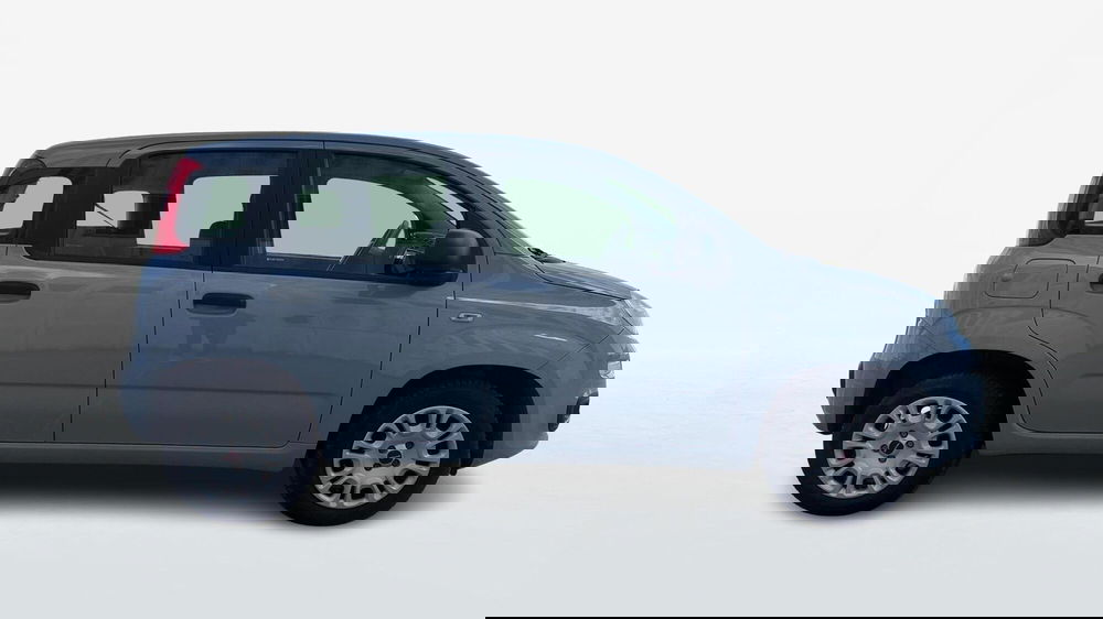 Fiat Panda usata a Viterbo (4)