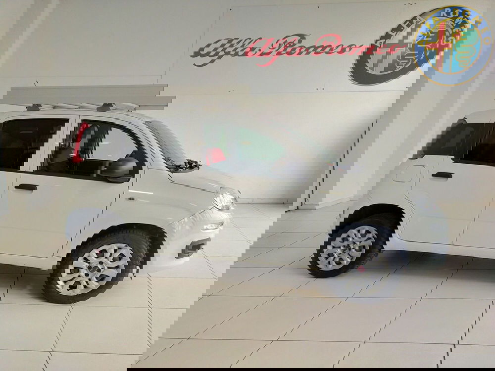 Fiat Panda usata a Reggio Emilia (4)