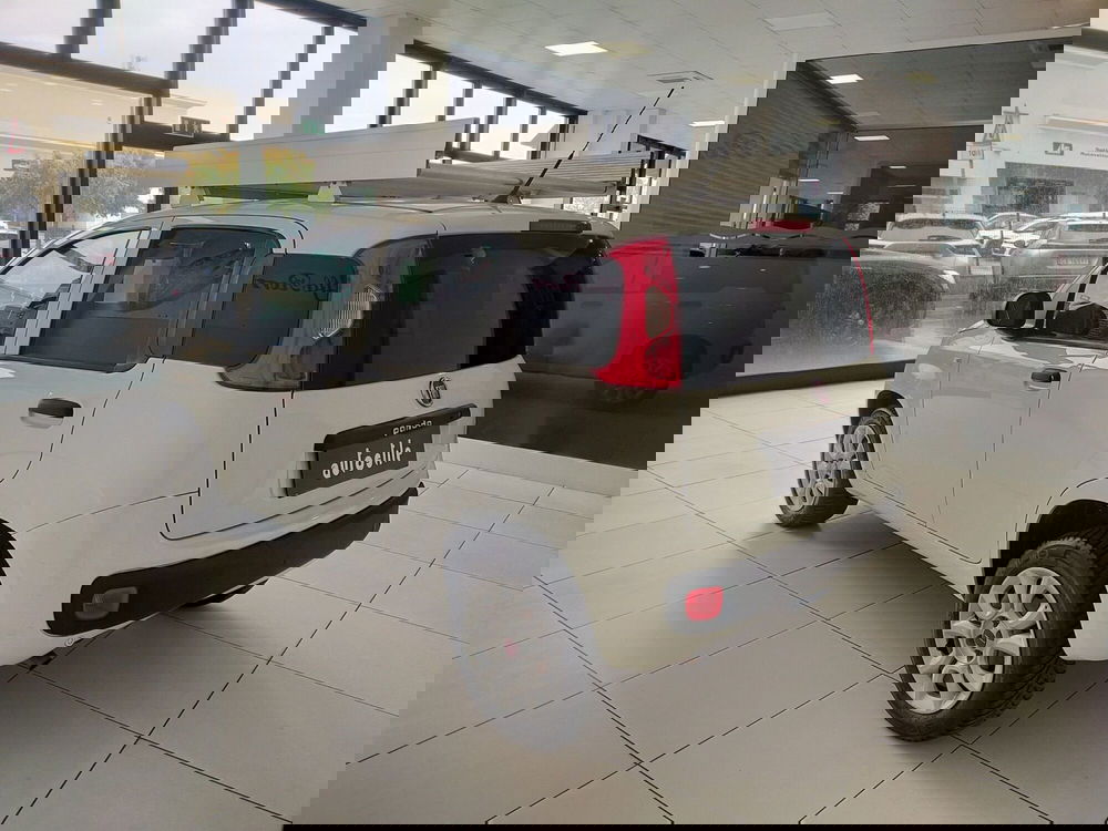 Fiat Panda usata a Reggio Emilia (6)