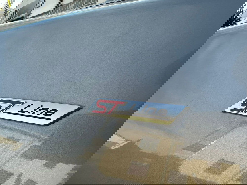 Ford Puma usata a Monza e Brianza (7)