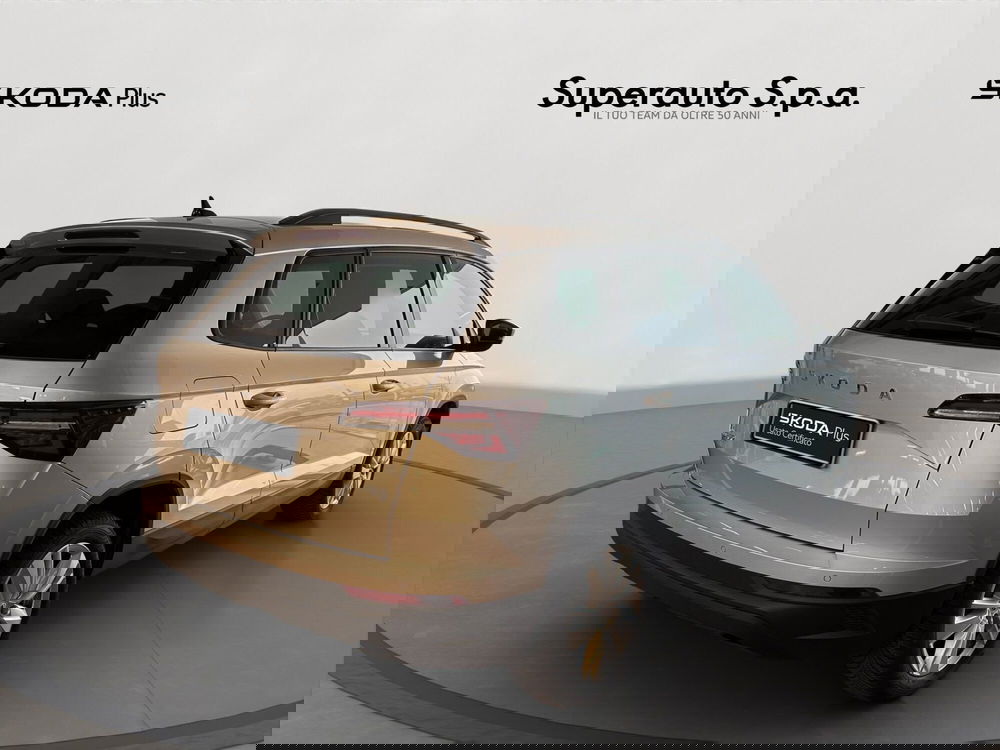 Skoda Karoq usata a Padova (7)