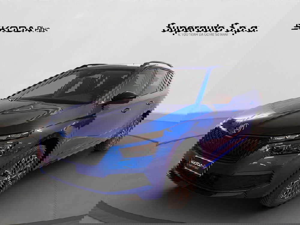 Skoda Kamiq usata a Padova