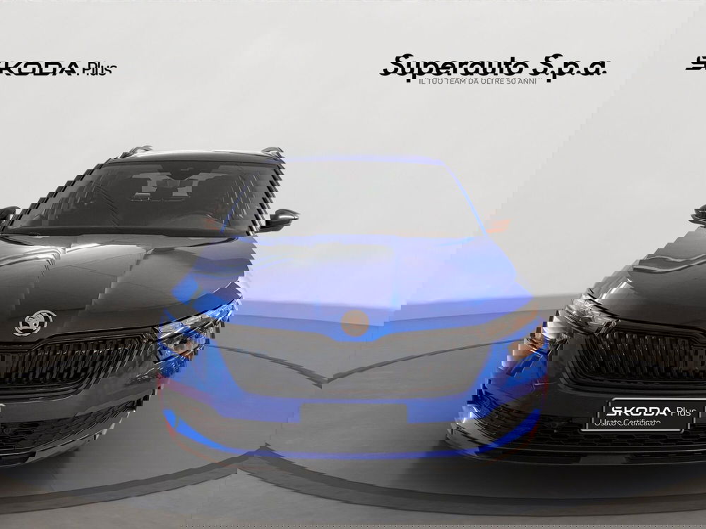 Skoda Kamiq usata a Padova (2)