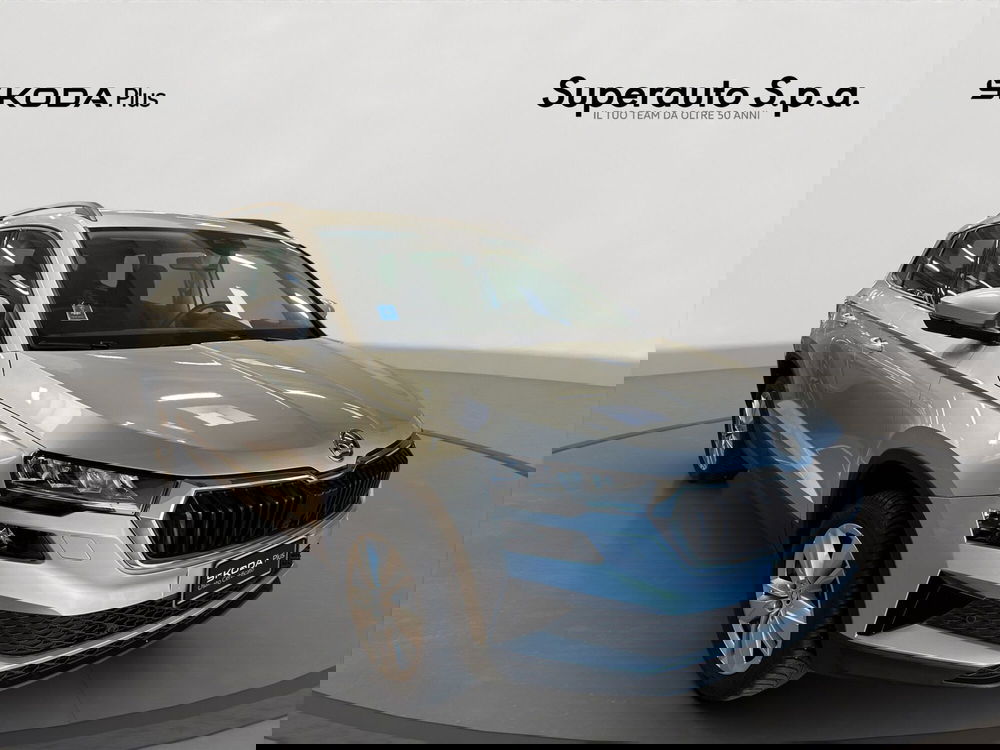 Skoda Karoq usata a Padova (3)