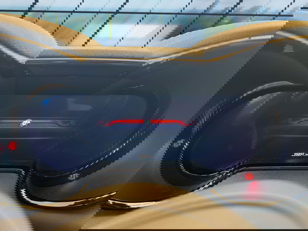 Alfa Romeo Tonale usata a Cosenza (11)