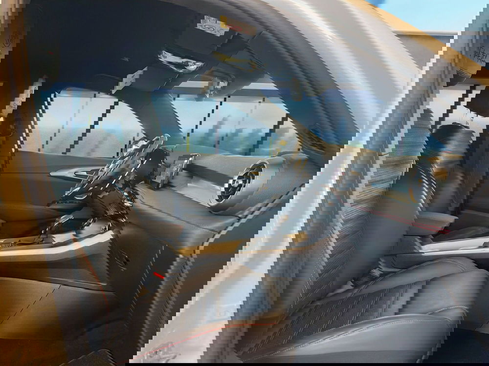 Alfa Romeo Tonale usata a Cosenza (18)