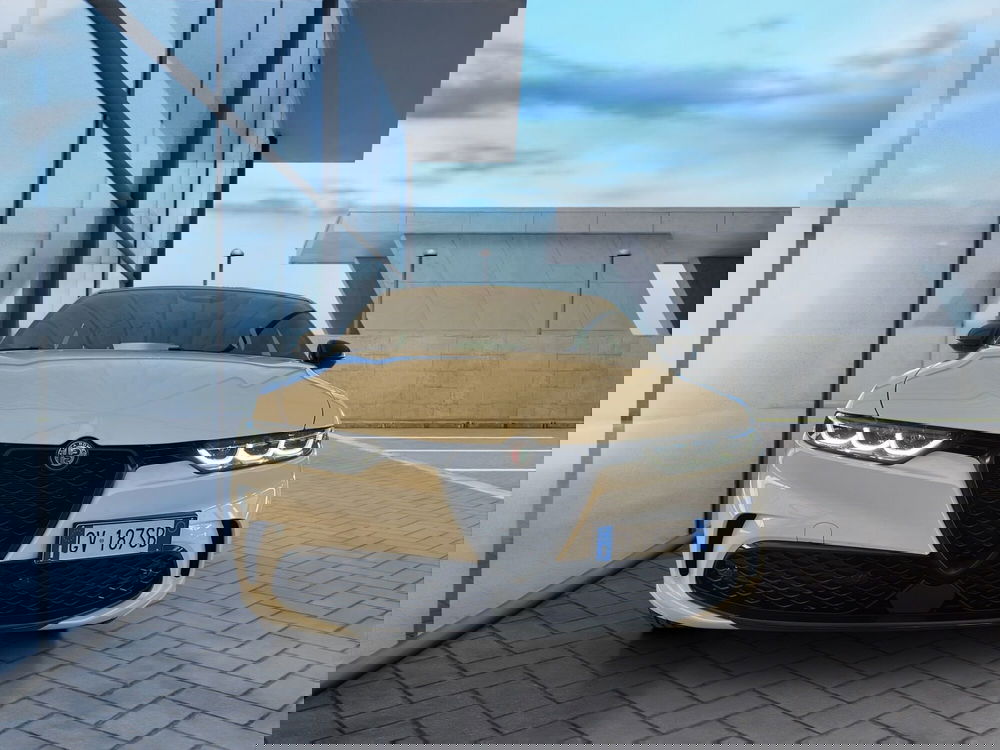 Alfa Romeo Tonale usata a Cosenza (2)