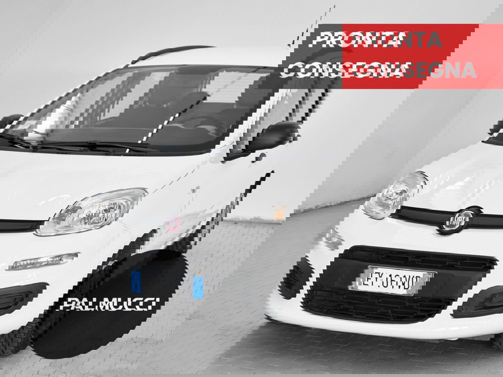 Fiat Panda usata a Prato