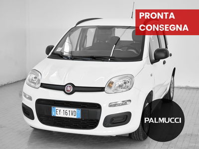 Fiat Panda 1.2 EasyPower Lounge del 2015 usata a Prato