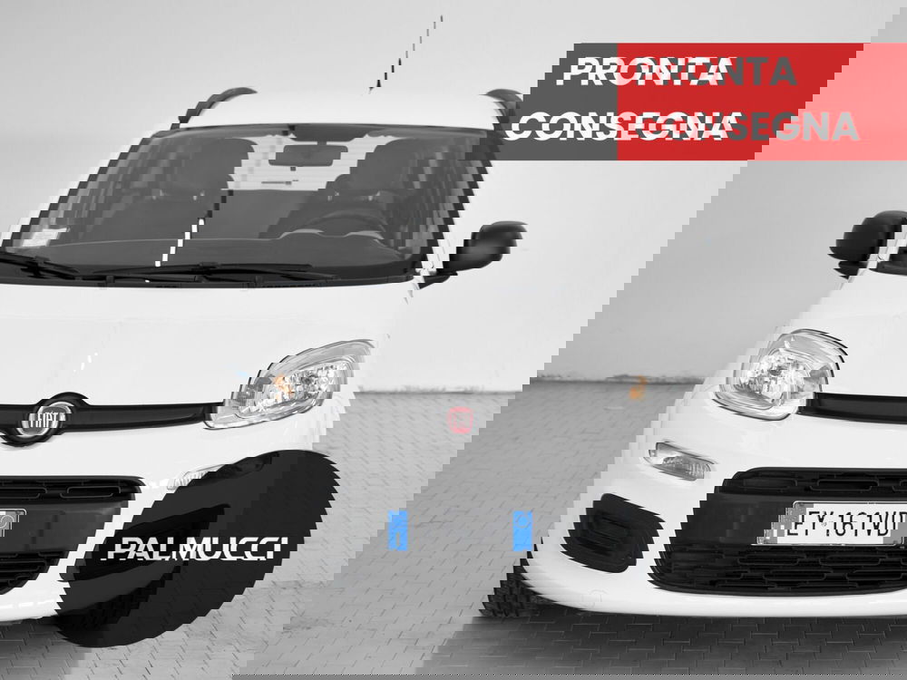 Fiat Panda usata a Prato (2)