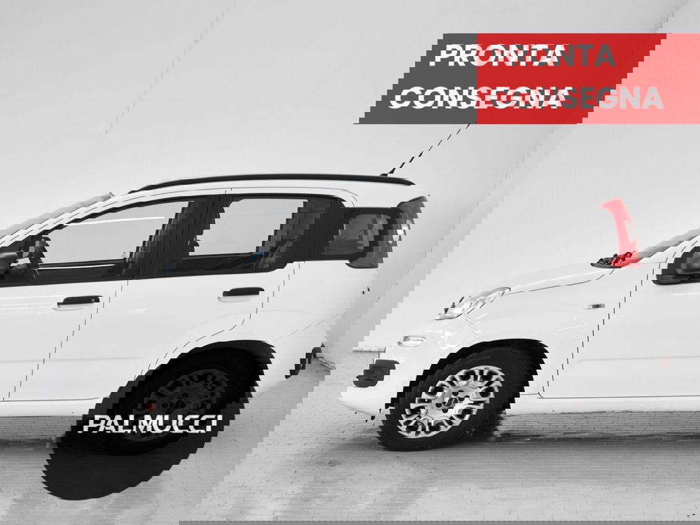 Fiat Panda usata a Prato (3)