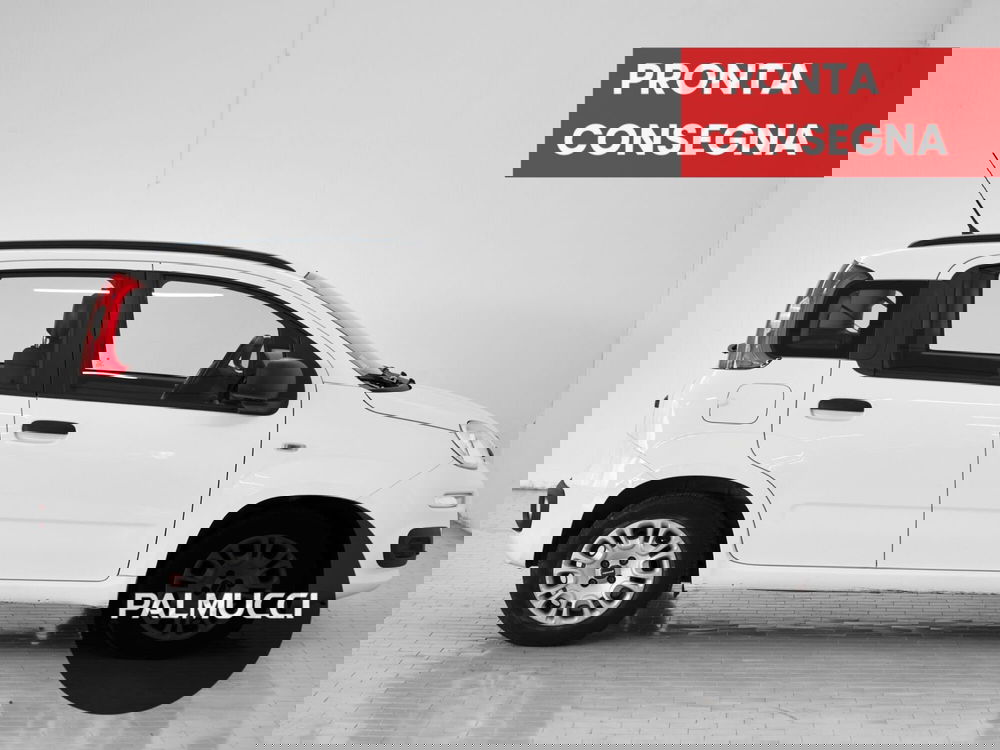 Fiat Panda usata a Prato (4)