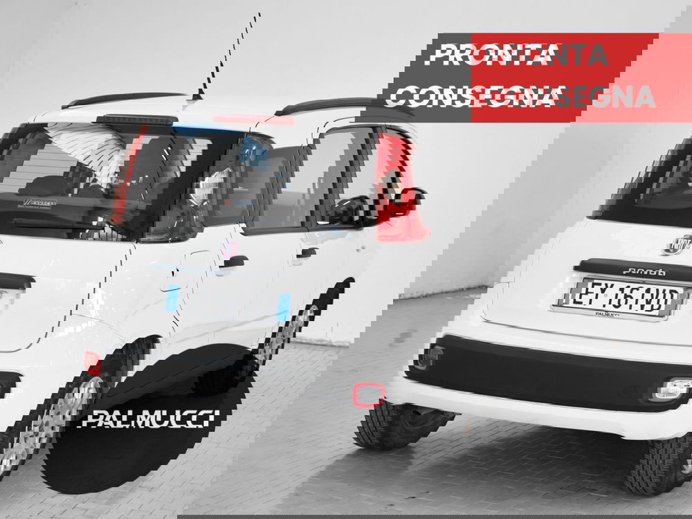 Fiat Panda usata a Prato (5)