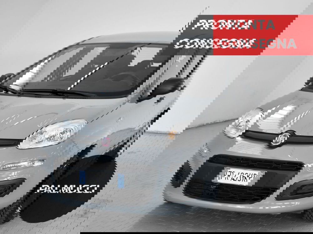 Fiat Panda usata a Prato