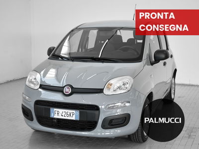Fiat Panda 1.2 Easy del 2018 usata a Prato
