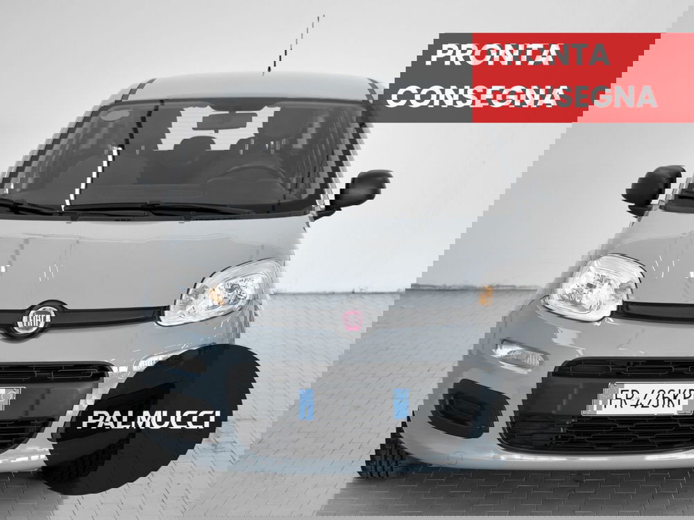 Fiat Panda usata a Prato (2)