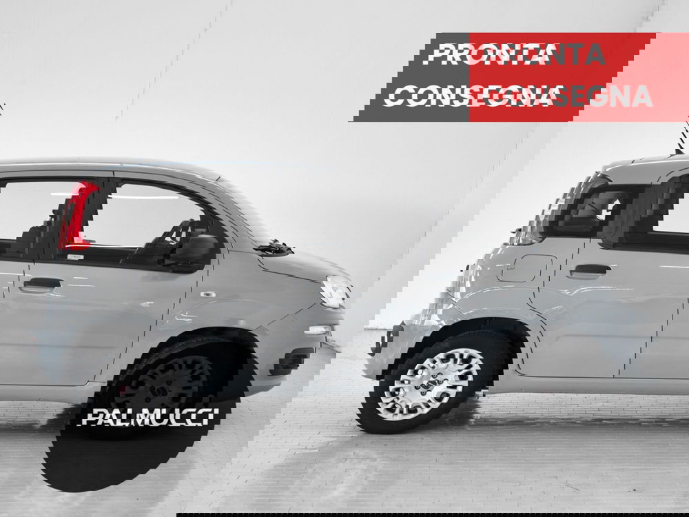 Fiat Panda usata a Prato (3)