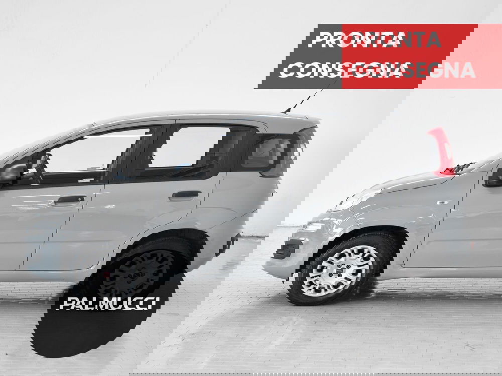 Fiat Panda usata a Prato (4)