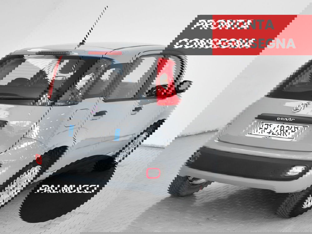 Fiat Panda usata a Prato (5)