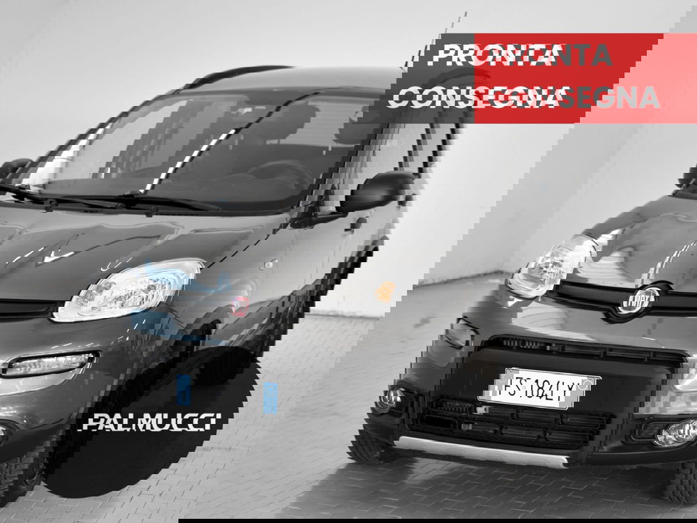 Fiat Panda usata a Prato