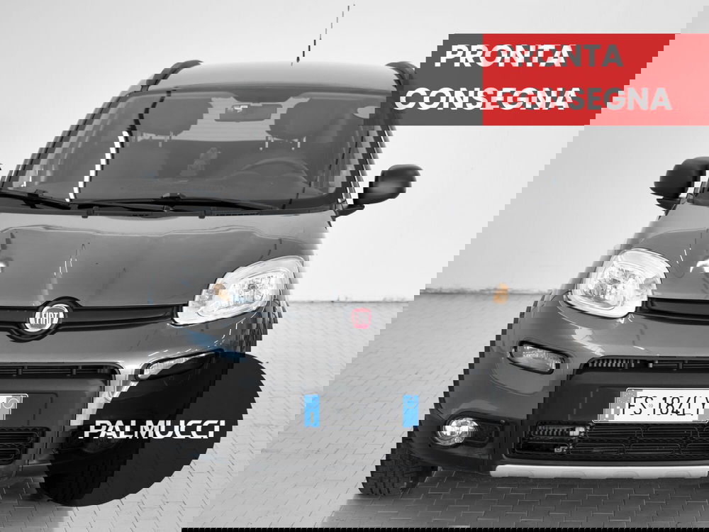 Fiat Panda usata a Prato (2)