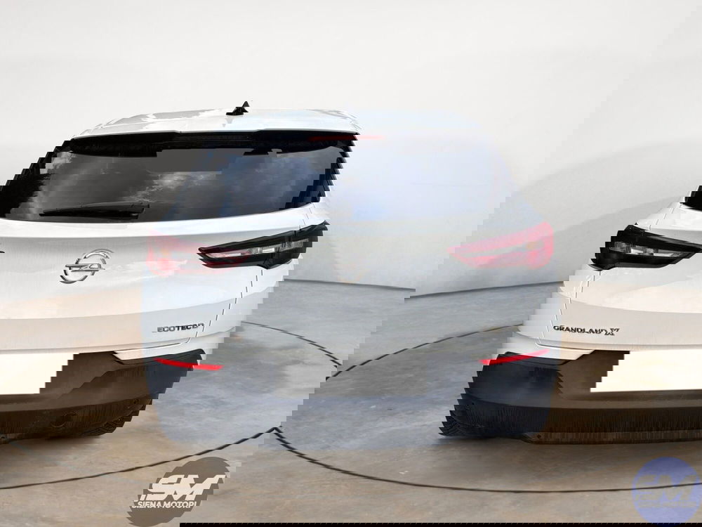 Opel Grandland X usata a Siena (4)