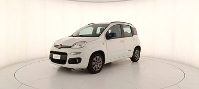 Fiat Panda 1.2 Pop del 2015 usata a Treviso