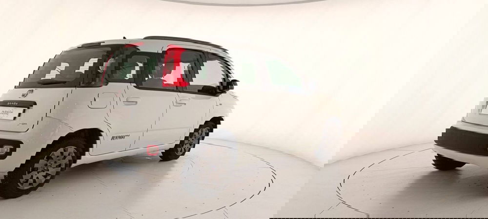 Fiat Panda usata a Treviso (6)