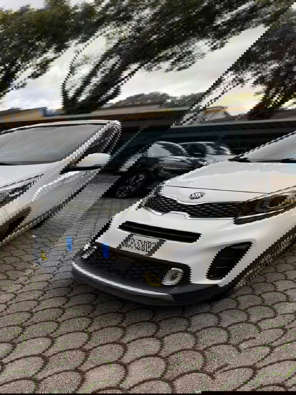 Kia Picanto usata a Firenze