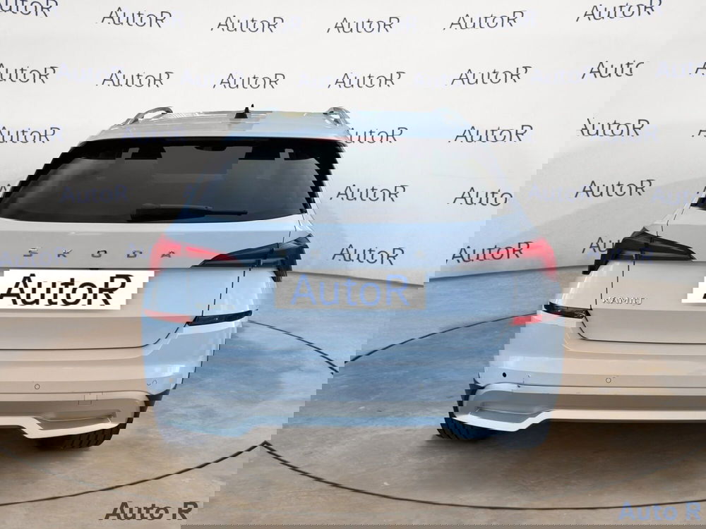 Skoda Kamiq usata a Potenza (6)