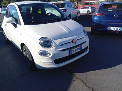 Fiat 500 1.0 Hybrid Red del 2023 usata a San Gregorio di Catania