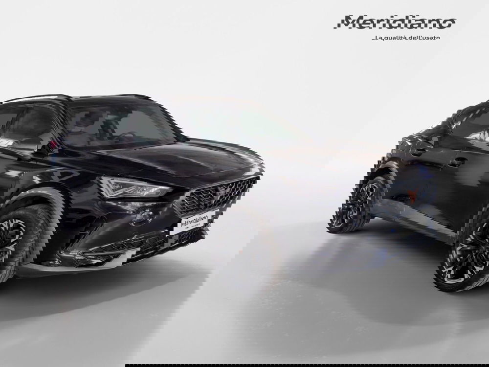 Cupra Formentor usata a Agrigento (7)