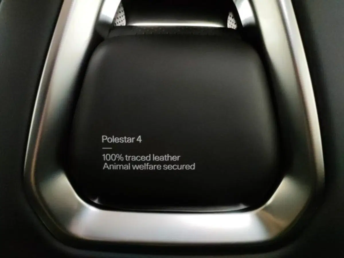 Polestar Polestar 4 usata a Modena (19)
