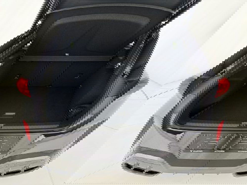 Cupra Terramar usata a Vicenza (10)