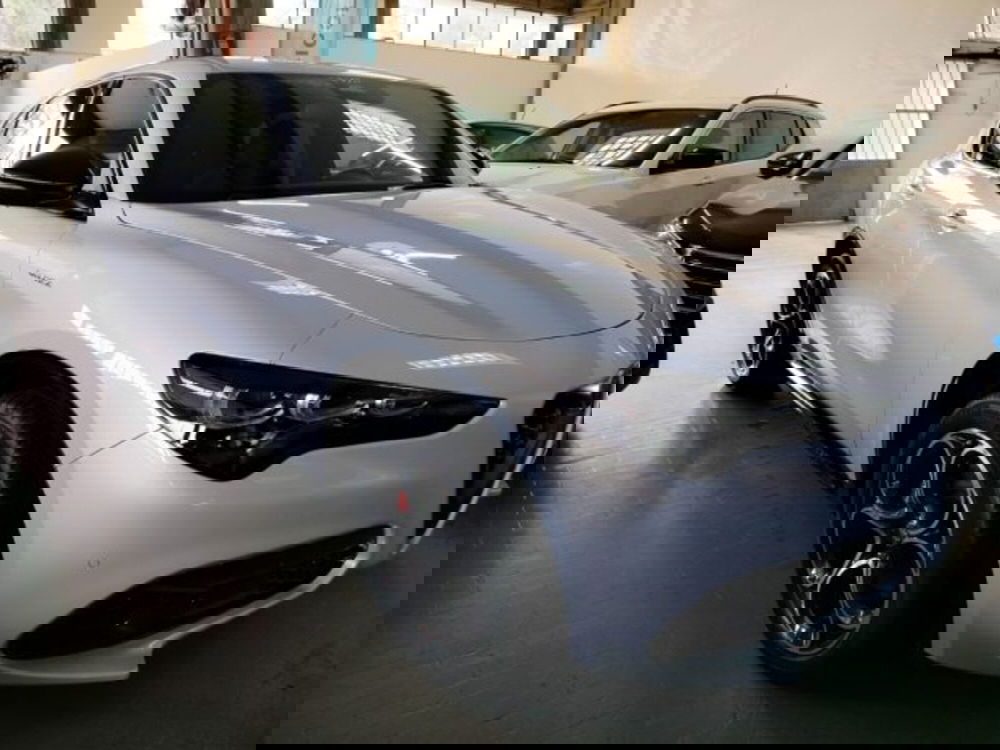 Alfa Romeo Stelvio usata a Forlì-Cesena (3)