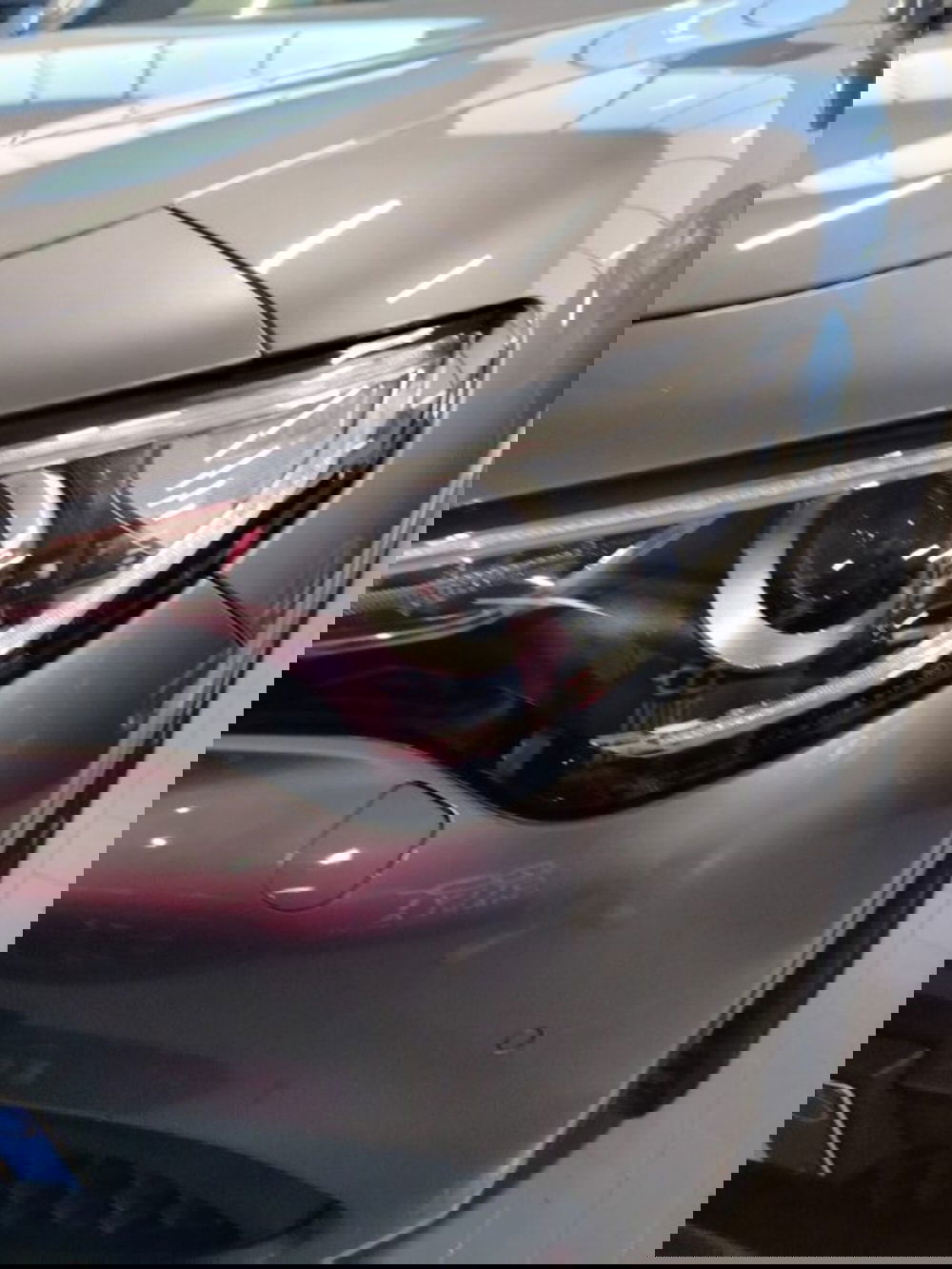 Alfa Romeo Stelvio usata a Forlì-Cesena (11)