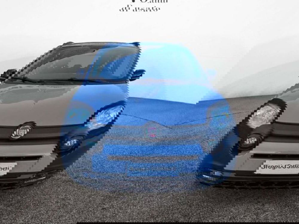 Fiat Panda usata a Firenze (2)