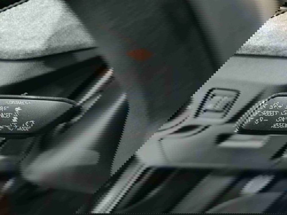 Skoda Kamiq usata a Catania (19)