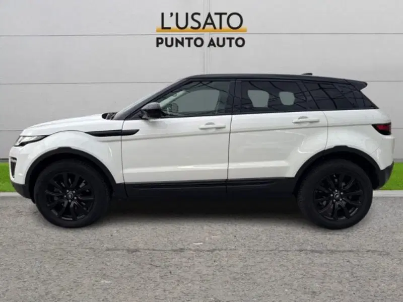 Land Rover Range Rover Evoque usata a Ancona (4)