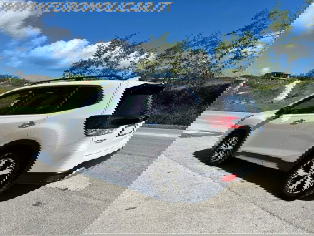 Subaru Forester usata a Campobasso (5)