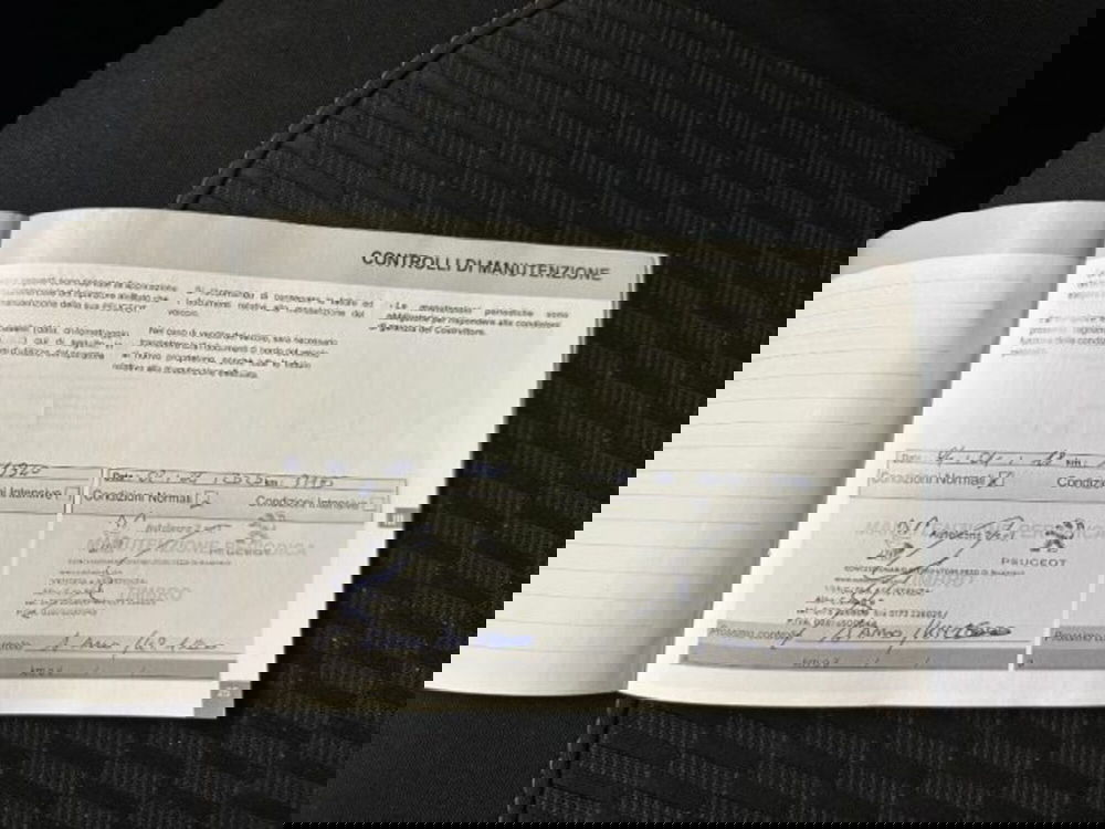 Peugeot 208 usata a Cuneo (17)