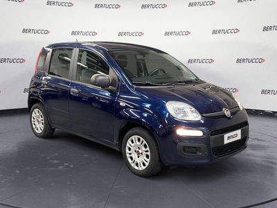 Fiat Panda 1.2 Easy del 2018 usata a Verona