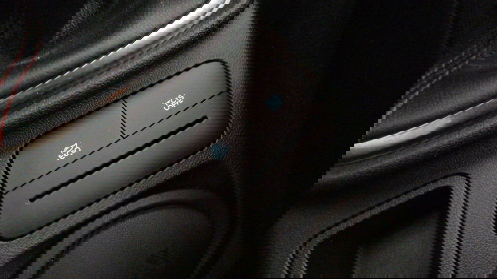 Ford Fiesta usata a Roma (19)