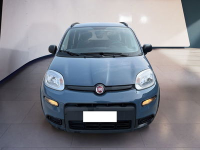 Fiat Panda 1.0 firefly hybrid s&amp;s 70cv 5p.ti del 2022 usata a Torino