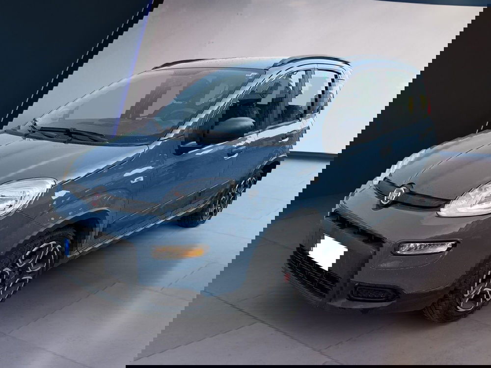 Fiat Panda usata a Torino (2)