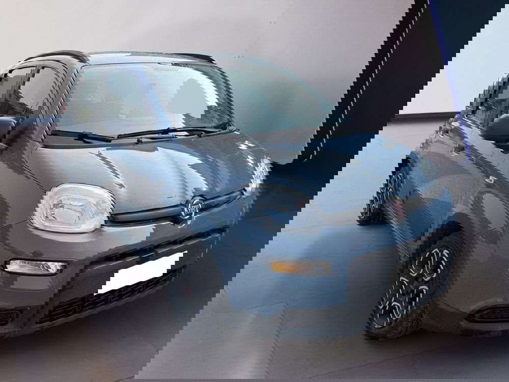 Fiat Panda usata a Torino (3)